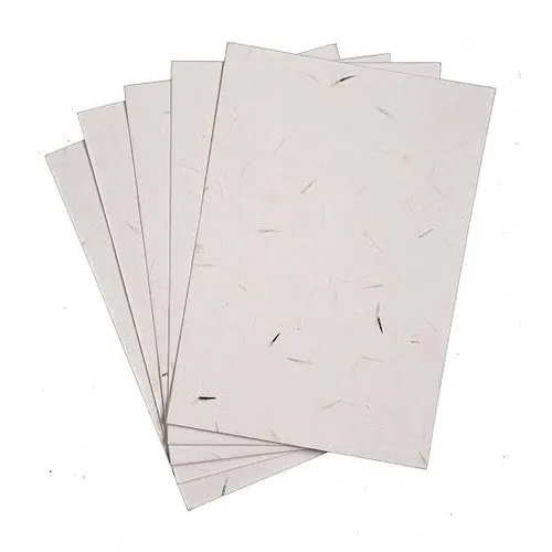 250 GSM Seed Germination Paper - Rectangular Shape , High Quality Material for Optimal Seed Sprouting and Germination Support