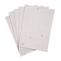 250 Gsm Seed Germination Paper - Rectangular Shape , High Quality Material For Optimal Seed Sprouting And Germination Support