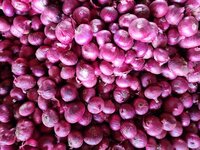 Fresh Red Onion - 55-60 mm Size, Round Shape | Raw Processing Form, Moisture Level 2%, Shelf Life 1 Month, Style Preserved