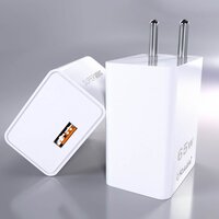 Flash mobile charger