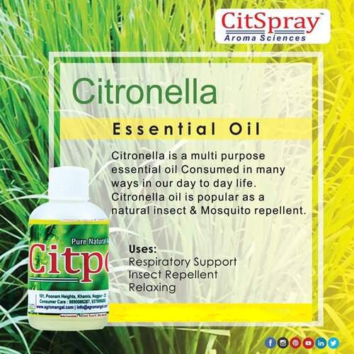Pure Citronella Oil