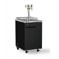 Dual Tap Draft Beer Dispenser