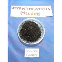 Organic Seaweed Extract Granular