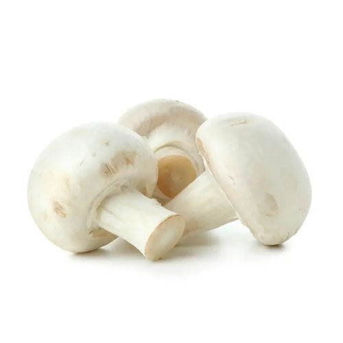 Pieces Button Mushroom