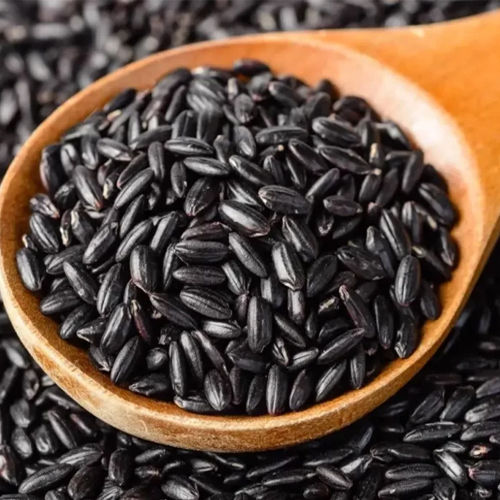 Common Black Rice