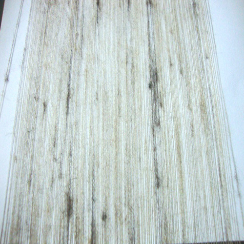 Tasar silk yarn