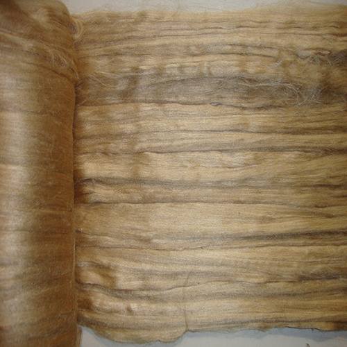 Muga Silk Wide Rool