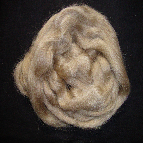 Muga Silk Tops