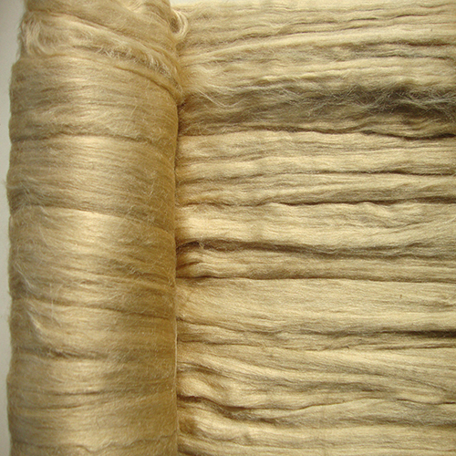 Tasar silk Tops