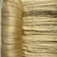 Tasar silk Tops