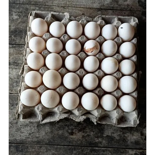 White Egg Packaging Paper Egg Tray at Best Price in Muzaffarpur M/S