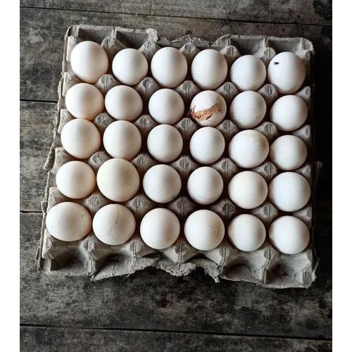 White Egg Packaging Paper Egg Tray