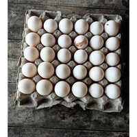Egg Packaging Paper Egg Tray