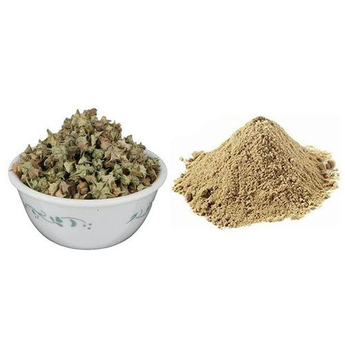 Gokhru Powder Ingredients: Herbal Extract