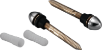 W.c Rack Bolt 16mm Ss - Color: Silver And Brass