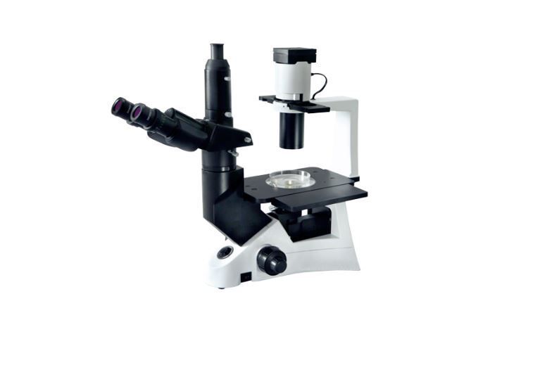 Inverted Tissue Culture Trinocular Microscope