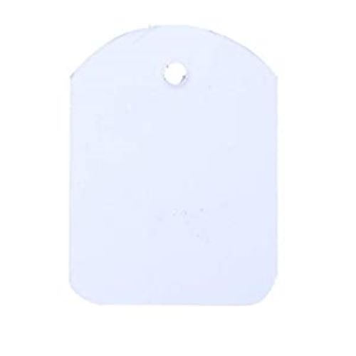 Blank Paper Tag 