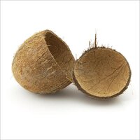 Coconut Shell