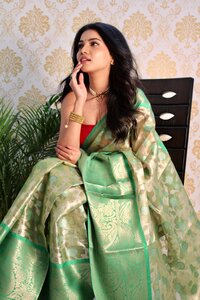 Tejal Green Banarasi Tissue Silk