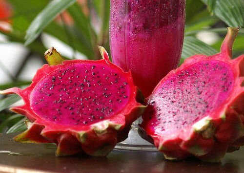 Dragon Fruits Slices