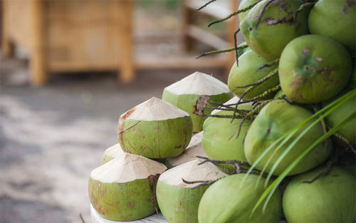 Tender Coconut Slices