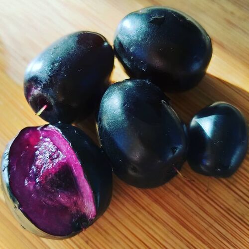 Purpule Jamun Fruit Pulp