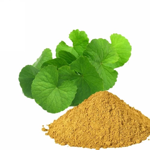 MGanna Pure and Natural Brahmi Powder Bacopa monnieri for Skin care and Cosmetic Formulation