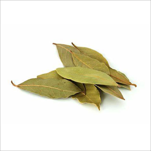 70 KG Bay Leaf