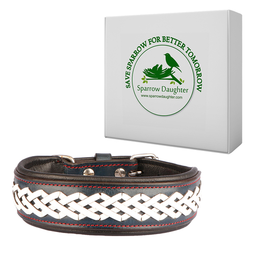 SPARROW DAUGHTER LUXURY DOG COLLAR BRAIDED DESIGN