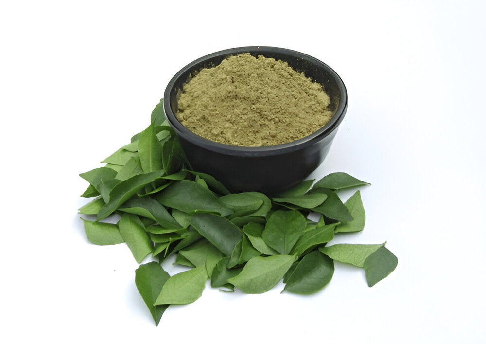 Curry Leaves Powder - 100% Natural , Premium Quality Herbal Ingredient for Culinary and Wellness Applications