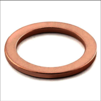 Copper Gasket