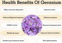 Pure Natural Geranium Oil