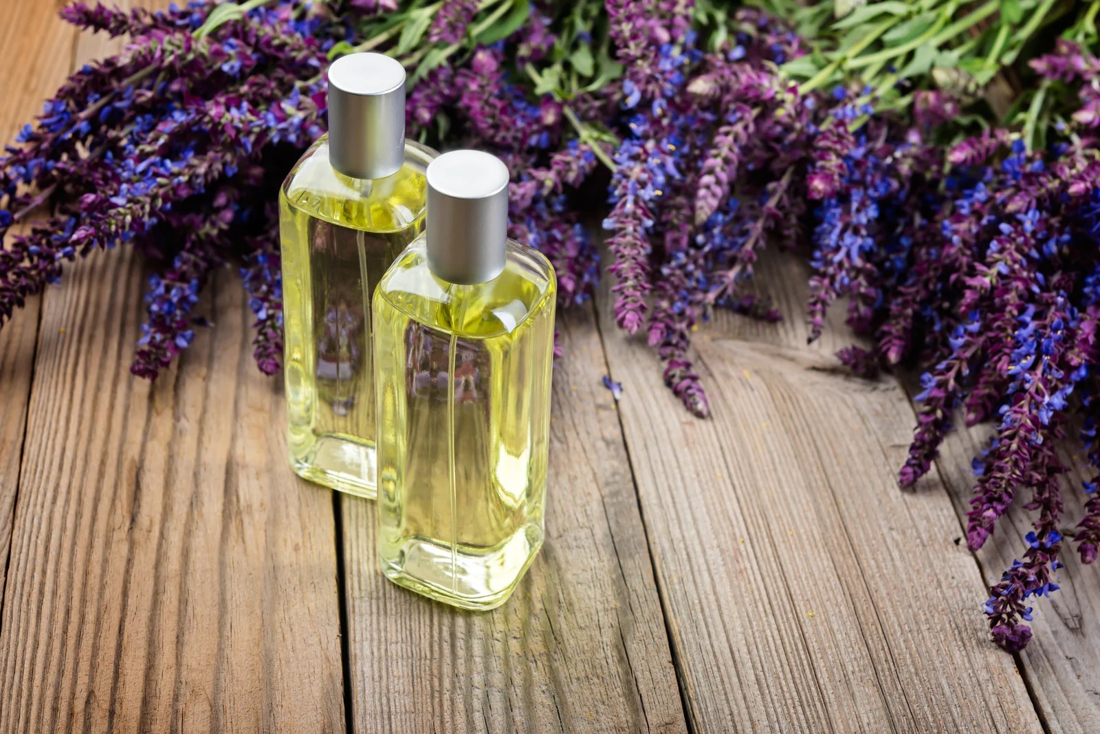 Clary Sage Oil (Salvia sclarea)