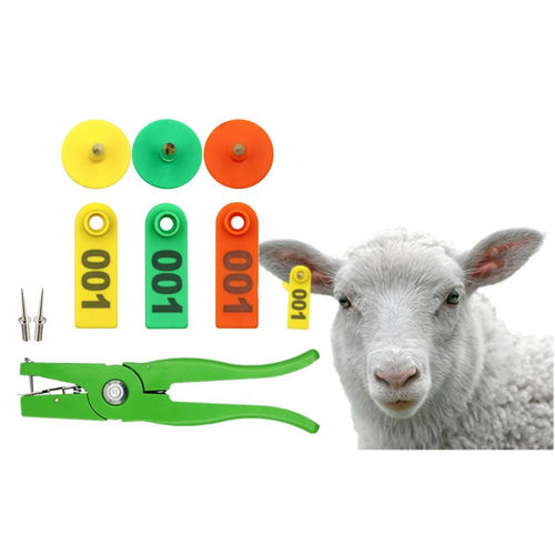 Multicolor Livestock Sheep Ear Tag