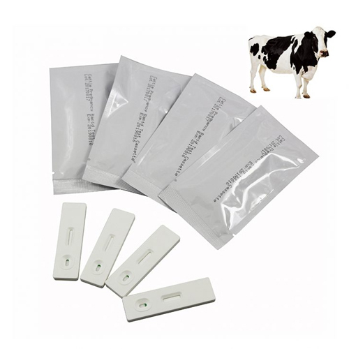 Early Pregnancy Kit Cow Diagnosis Tool