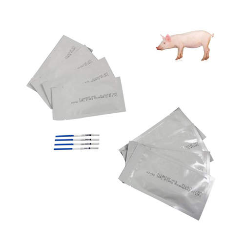 Pig Pregnancy Test Paper