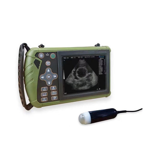 Hand Held Veterinary Ultrasound Diagnostic System