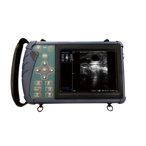 Hand Held Veterinary Ultrasound Diagnostic System