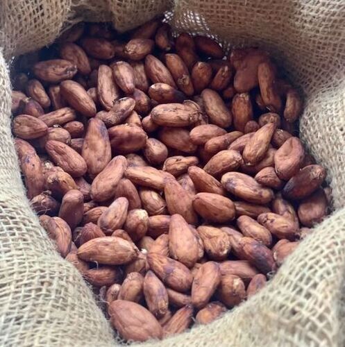 Cocoa Beans Price