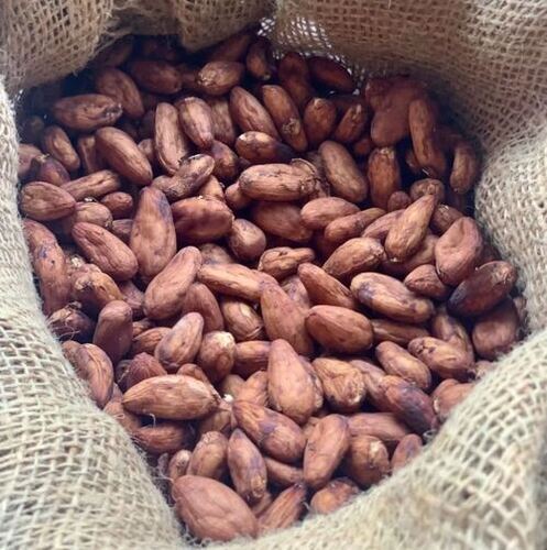Cocoa beans for sale