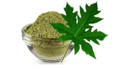 Papaya leaves Powder