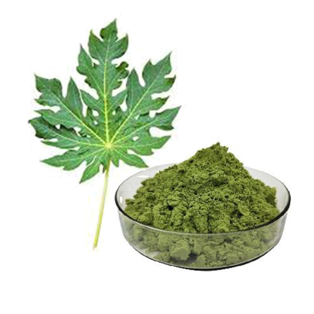 Papaya leaves Powder