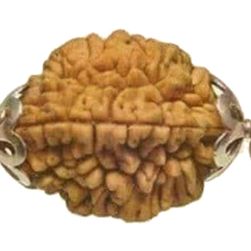 Natural Nepali Rudraksha