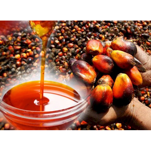 Palm Oil - Organic, Grade A, High Purity | Versatile Cooking Oil for Health Benefits, Skin Nourishment, Heart Protection