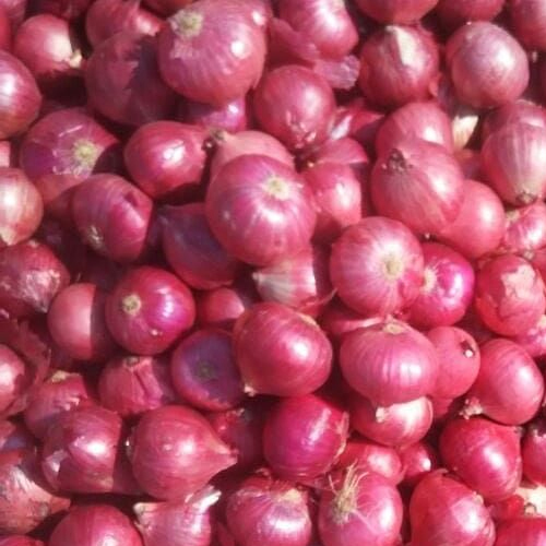 Natural Red Onion