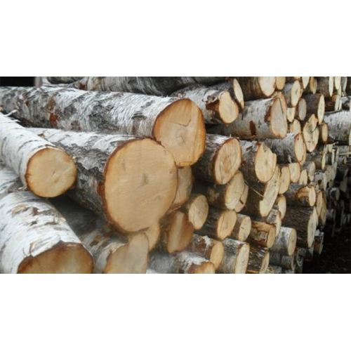 Eco-Friendly Birch Round Logs