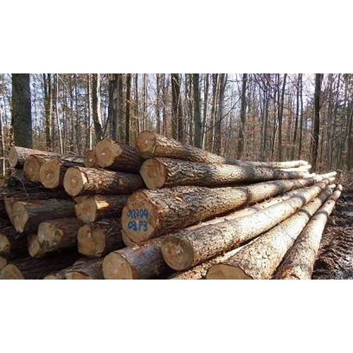 Durable Pine Round Logs