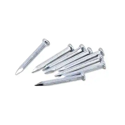 China hot sale galvanized polished common nails/smooth shank factory and  manufacturers | Goldensun