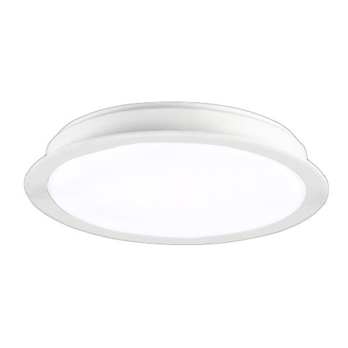 15 W Smart Down Light