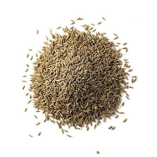 Fennel seed